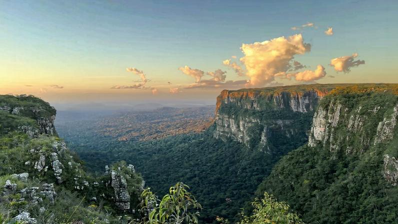 Vista aérea próxima à Serra dos Pacaás Novos. Crédito: entreparquesbr.com.br.