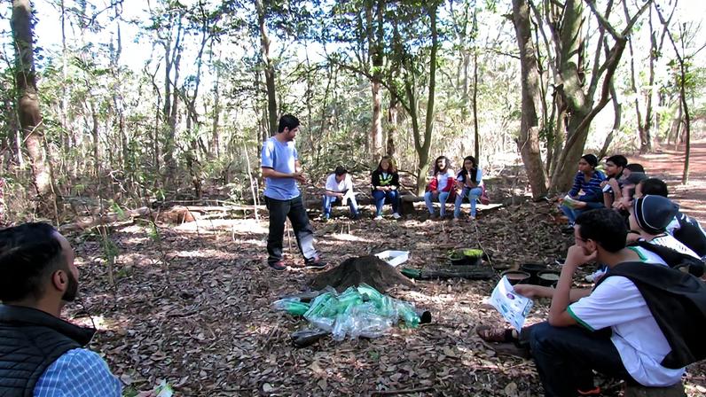 Cena urbana arborizada de Juiz de Fora MG