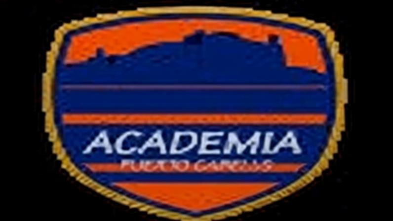 Logo do time