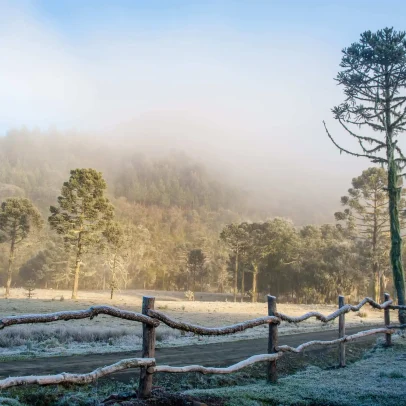 Frio chega ao Rio Grande do Sul com risco de geada e alerta do Inmet