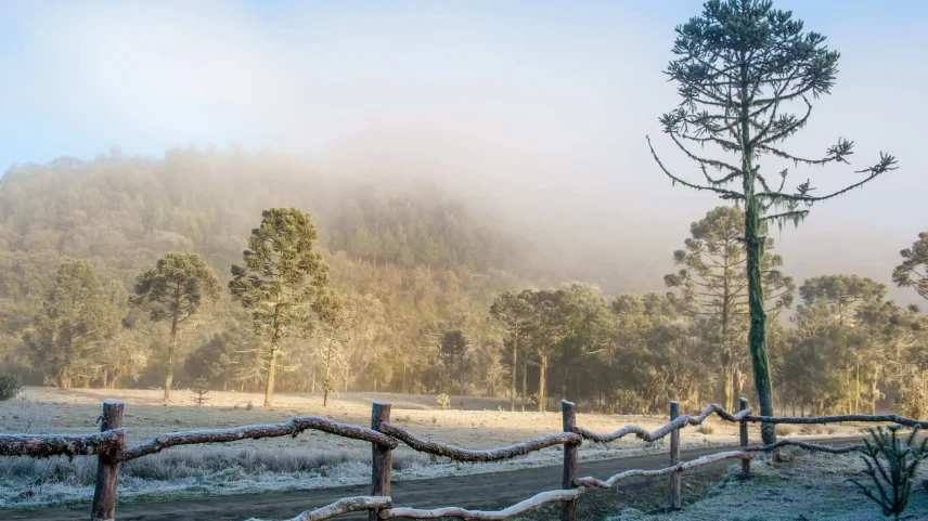 Frio chega ao Rio Grande do Sul com risco de geada e alerta do Inmet