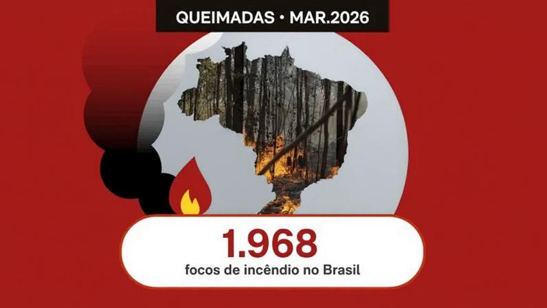 Todos os biomas brasileiros registraram focos de incêndio em março