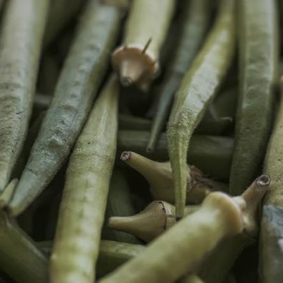 Garantia-Safra: lista de beneficiários com pagamento em abril