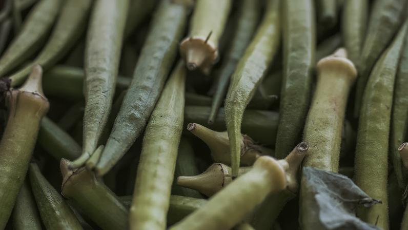 Brasília-DF, 10.11.2023, A Diversas frutas, legumes e verduras que são vendidos diariamente na Centrais de Abastecimento do Distrito Federal, a CEASA-DF. Foto: Rafa Neddermeyer/Agência Brasil