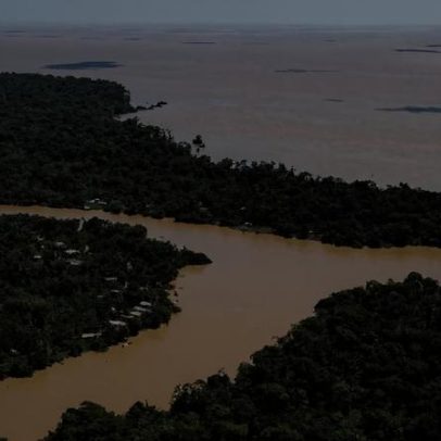 Biocombustíveis geram maior retorno que petróleo na Amazônia, aponta estudo