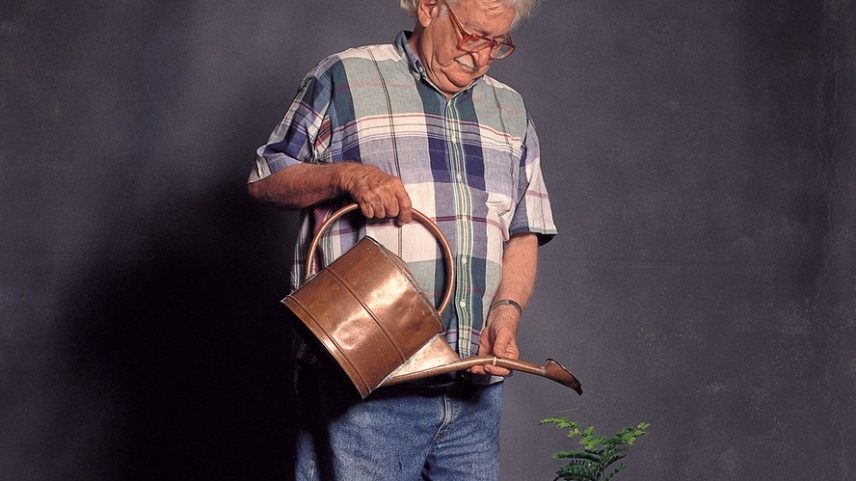 A exposição Burle Marx: Plantas em Movimento acontece de 30 de abril a 2 de agosto de 2026 no Museu Judaico de São Paulo