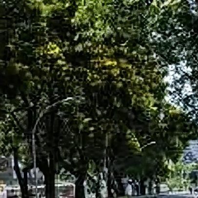 Áreas Verdes Urbanas ganham expansão e benefícios para cidades