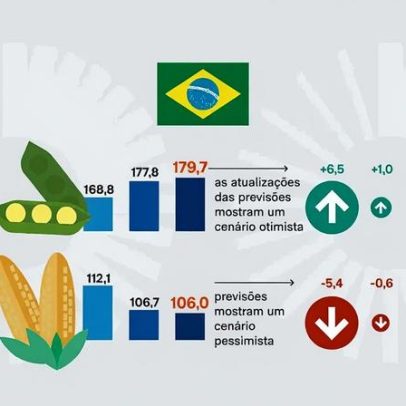 Safra de soja deve atingir 180 milhões de toneladas