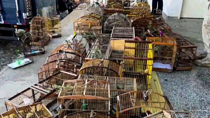 Imagem colorida mostra cativeiro - Metrópoles