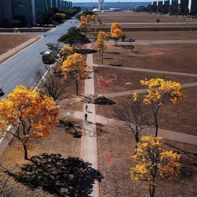 Brasília é a 5ª capital com mais dias secos por ano
