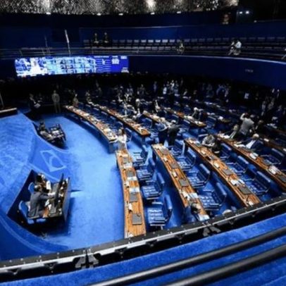 Senado aprova missão aos EUA para acompanhar brasileiros detidos