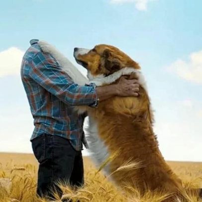 Globo divulga o filme da Sessão da Tarde nesta terça-feira