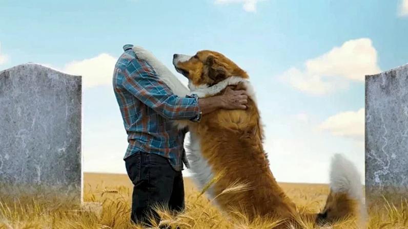 Sessão da Tarde – Saiba qual filme a Globo exibe nesta terça-feira