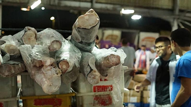 Maior complexo hospitalar da América Latina cancela compra de carne de tubarão