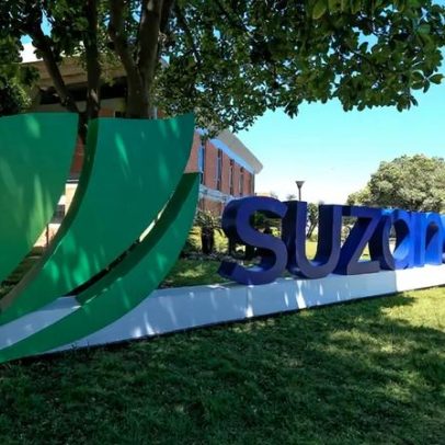 Suzano, Motiva e Multiplan: principais destaques das empresas