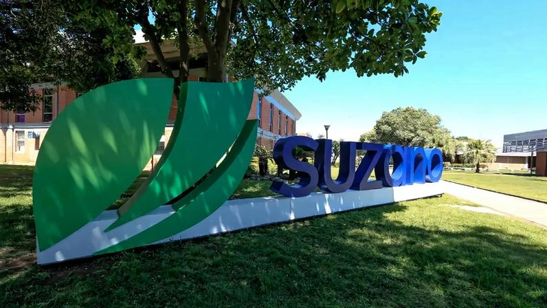 Suzano — Foto: Divulgação