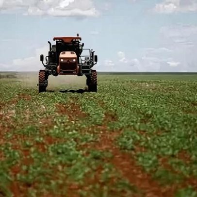 Governo avalia linha subsidiada de fertilizantes no Plano Safra