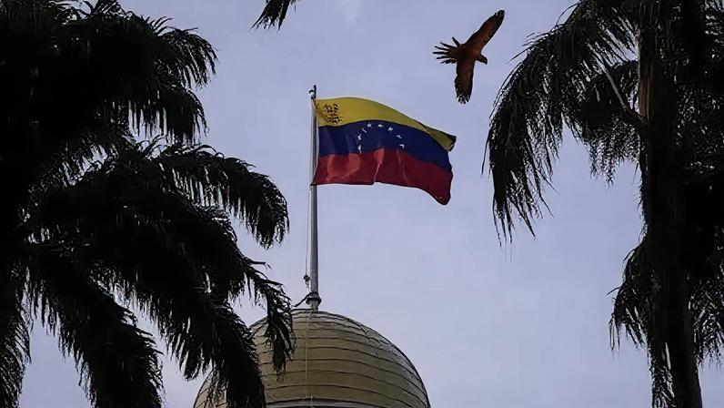 Uma arara voa perto de bandeira venezuelana no Palácio Federal Legislativo, em Caracas, Venezuela