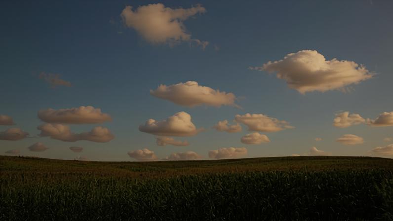 Lavoura de milho