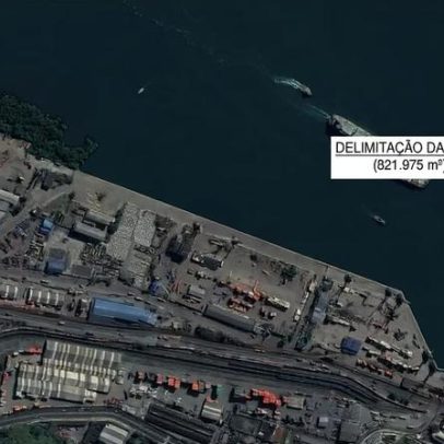 Governo pede suspensão do leilão Tecon Santos 10 à agência reguladora