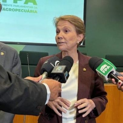 Renan e Tereza Cristina defendem ajuste para quitar dívida rural
