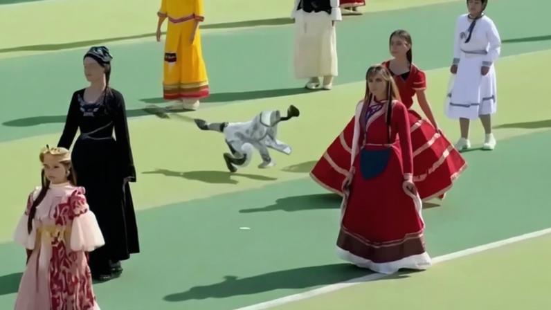 Robô perde controle durante apresentação e assusta estudantes na China