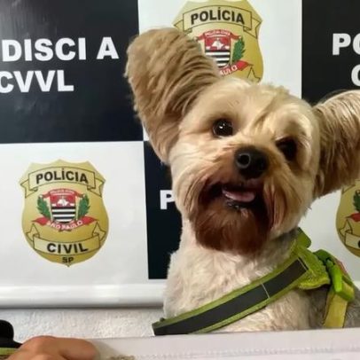 Homem é preso por disfarce ao furtar cão da ex em pet shop de SP