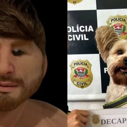 Homem disfarçado furtou cão na loja de pet de ex em SP