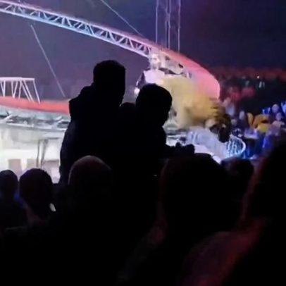 Tigre avança sobre plateia de circo após queda da rede de proteção