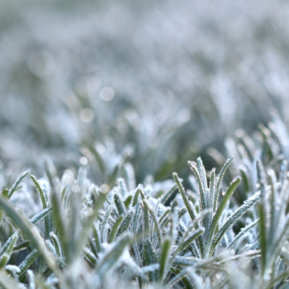 Ar polar derruba temperaturas no Sul e eleva risco de geada
