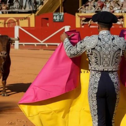 Ex-toureiro morre após ataque de touro na Espanha