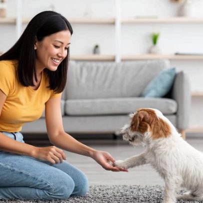 Treino para cães adultos e idosos traz benefícios à saúde