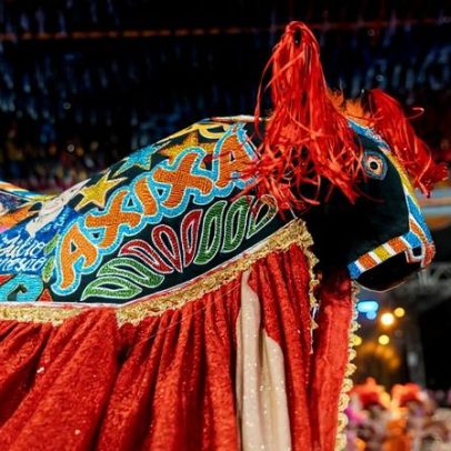 São João do Maranhão chega ao Mercado Central; confira detalhes