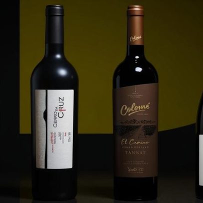 Melhores vinhos para experimentar no Tannat Day deste ano