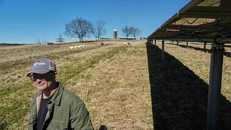Daniel Bell watches his sheep graze Friday, Feb. 20, 2026, at a farm in Lancaster, Ky. (AP Photo/Joshua A. Bickel)