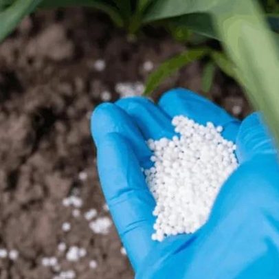 Risco dos fertilizantes afeta a soberania agropecuária do Brasil