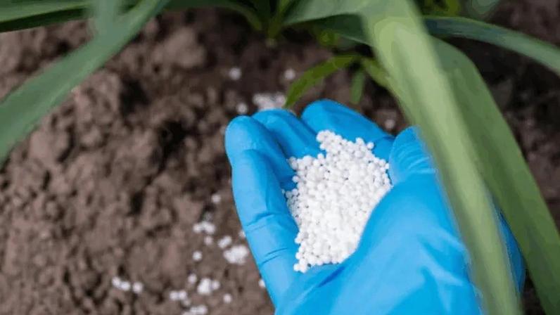 Não há segredo em sintetizar amônia ou elaborar ureia, basta ter boas fontes de energia fóssil, diz o articulista