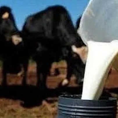 Preço do leite sobe e expõe fragilidade estrutural do setor