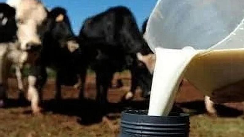 Produtores de leite enfrentam perdas financeiras