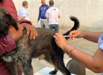 Vacinação emergencial contra raiva em cães e gatos começa hoje em Montes Claros