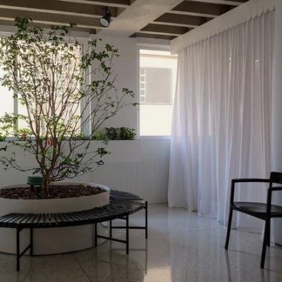 Jabuticabeira dentro de casa: 7 ideias para decorar