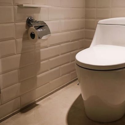Banheiros podem abandonar o papel higiênico; quais substitutos vêm?