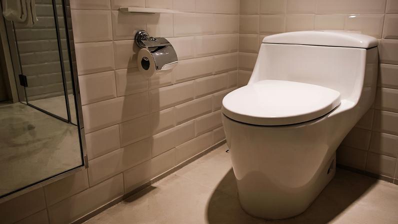 Vaso sanitário com papel higiênico está ficando obsoleto