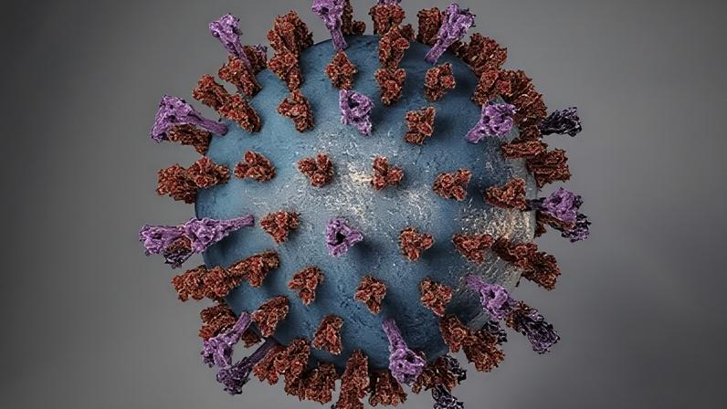 Ilustração em 3D da estrutura do Vírus Sincicial Respiratório