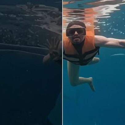 Tubarão-baleia surge em foto de turista nas Filipinas