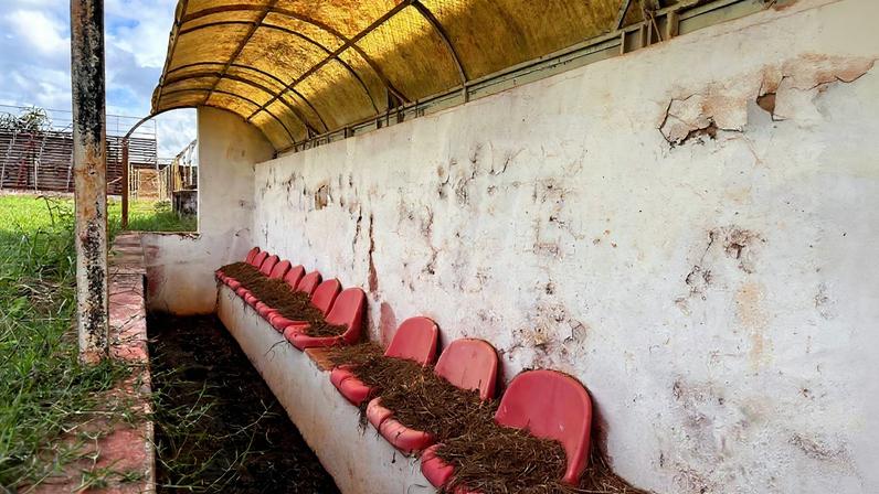 Estádio dos Amaros, em Itápolis — Foto: Emilio Botta