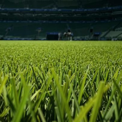 Gramado sintético ganha opinião de atletas, fica mais verde e afeta Palmeiras