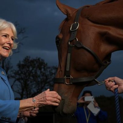 Rainha Camilla encerra agenda nos EUA com visita a cavalos na Virgínia