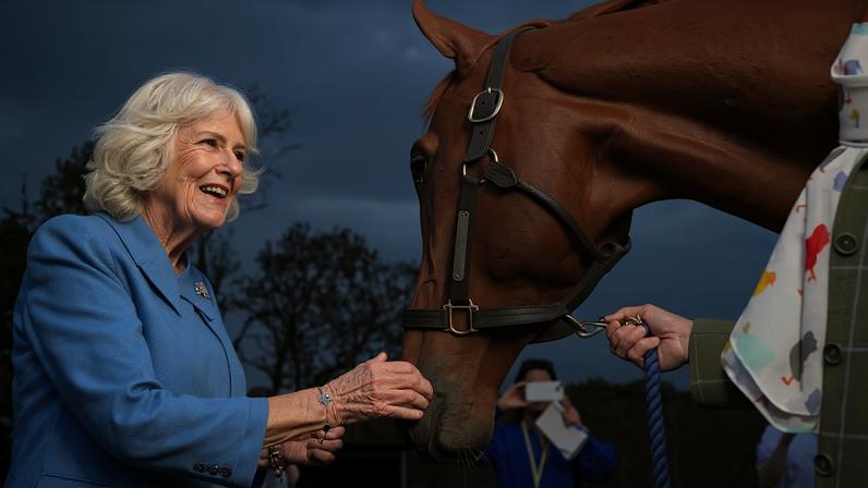 A rainha Camilla encontra um cavalo na final do Smitten em The Plains, Virgínia — Foto: GettyImages