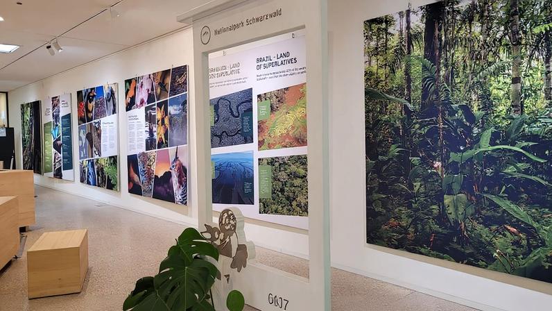 Exposição do Parque Nacional do Pico da Neblina na Alemanha. Foto: Parque Nacional da Floresta Negra da Alemanha/Divulgação